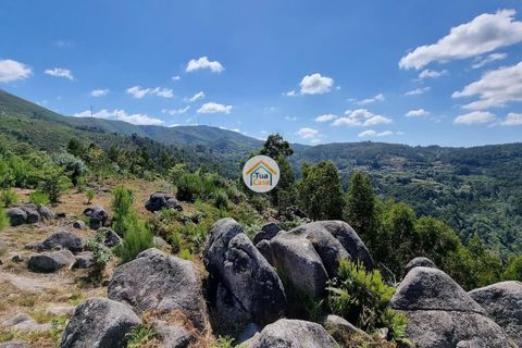 Farm i Arouca, Aveiro, Arouca - € 80.000 | Ref: 1TC4238 - foto 14