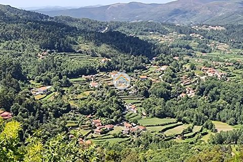 Farm i Arouca, Aveiro, Arouca - € 80.000 | Ref: 1TC4238 - foto 15