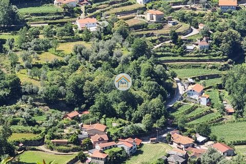 Farm i Arouca, Aveiro, Arouca - € 80.000 | Ref: 1TC4238 - foto 16