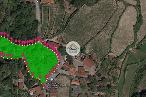 Farm i Arouca, Aveiro, Arouca - € 80.000 | Ref: 1TC4238 - foto 18