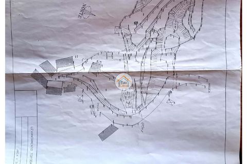 Farm i Arouca, Aveiro, Arouca - € 80.000 | Ref: 1TC4238 - foto 19