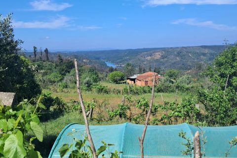 Landejendom i Tabua, Coimbra, Tabua - € 125.000 | Ref: 710 - foto 2