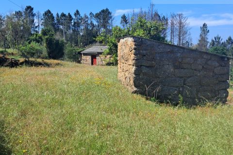 Landejendom i Tabua, Coimbra, Tabua - € 125.000 | Ref: 710 - foto 5
