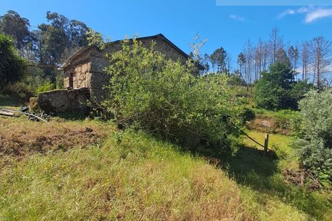 Landejendom i Tabua, Coimbra, Tabua - € 125.000 | Ref: 710 - foto 9