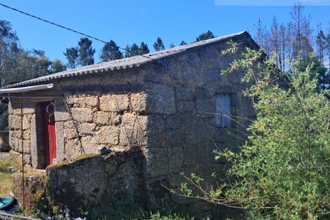 Landejendom i Tabua, Coimbra, Tabua - € 125.000 | Ref: 710 - foto 10