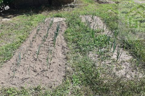 Landejendom i Tabua, Coimbra, Tabua - € 125.000 | Ref: 710 - foto 15
