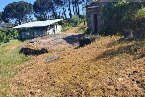 Landejendom i Tabua, Coimbra, Tabua - € 125.000 | Ref: 710 - foto 16