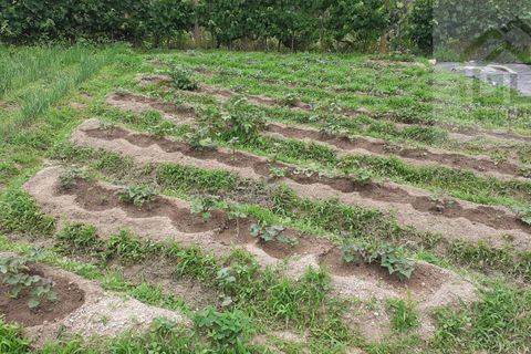 Landejendom i Tabua, Coimbra, Tabua - € 125.000 | Ref: 710 - foto 19