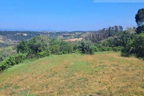Landejendom i Tabua, Coimbra, Tabua - € 125.000 | Ref: 710 - foto 20
