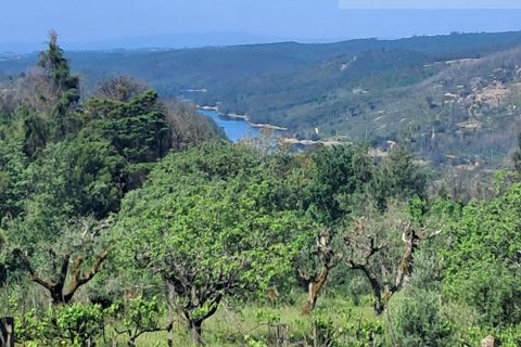 Landejendom i Tabua, Coimbra, Tabua - € 125.000 | Ref: 710 - foto 21