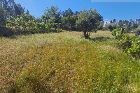 Landejendom i Tabua, Coimbra, Tabua - € 125.000 | Ref: 710 - foto 22