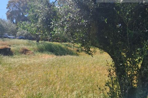 Landejendom i Tabua, Coimbra, Tabua - € 125.000 | Ref: 710 - foto 23