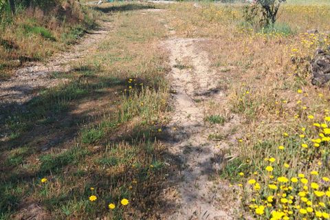 Landejendom i Tabua, Coimbra, Tabua - € 125.000 | Ref: 710 - foto 24