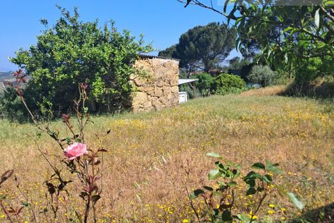Landejendom i Tabua, Coimbra, Tabua - € 125.000 | Ref: 710 - foto 25