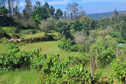 Landejendom i Tabua, Coimbra, Tabua - € 125.000 | Ref: 710 - foto 30