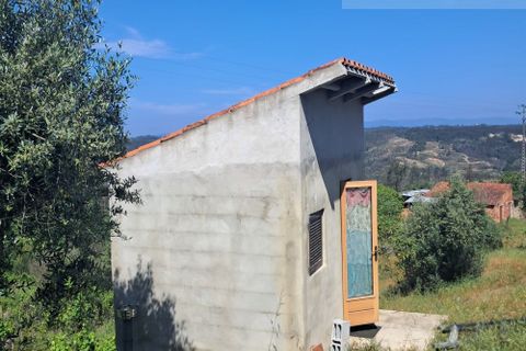 Landejendom i Tabua, Coimbra, Tabua - € 125.000 | Ref: 710 - foto 31