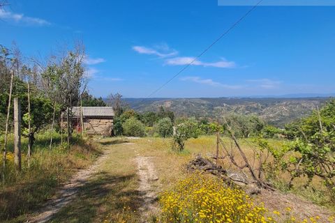 Landejendom i Tabua, Coimbra, Tabua - € 125.000 | Ref: 710 - foto 35