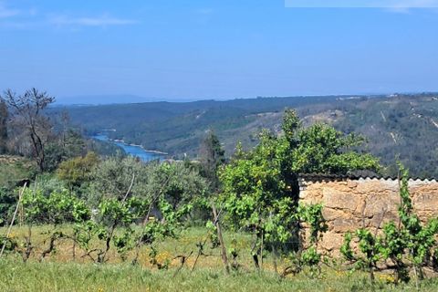 Landejendom i Tabua, Coimbra, Tabua - € 125.000 | Ref: 710 - foto 37