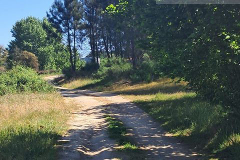 Landejendom i Tabua, Coimbra, Tabua - € 125.000 | Ref: 710 - foto 38