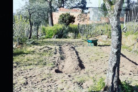Landejendom i Tabua, Coimbra, Tabua - € 125.000 | Ref: 710 - foto 39