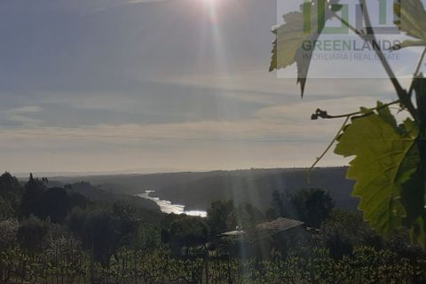 Landejendom i Tabua, Coimbra, Tabua - € 125.000 | Ref: 710 - foto 42