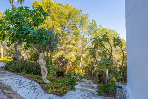 Villa a Orihuela, Alicante, Orihuela - € 499.000 | Ref: 777682 - foto 45
