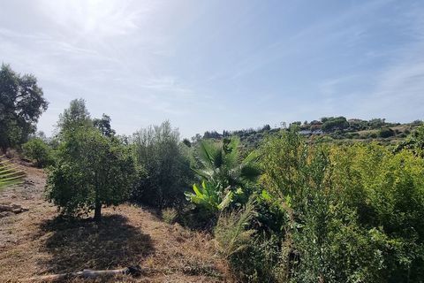 Apartament a Estepona, Malaga, Estepona - € 525.000 | Ref: MLSC3033931 - foto 9