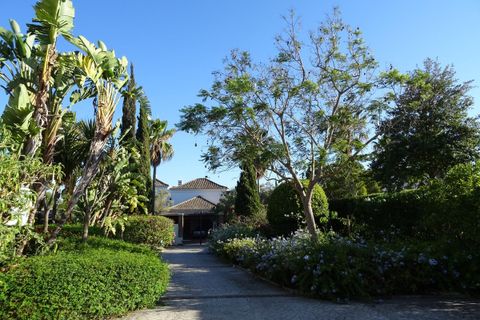Villa i Sotogrande, Cadiz, Sotogrande - € 1.700.000 | Ref: MLSC2989181 - foto 15