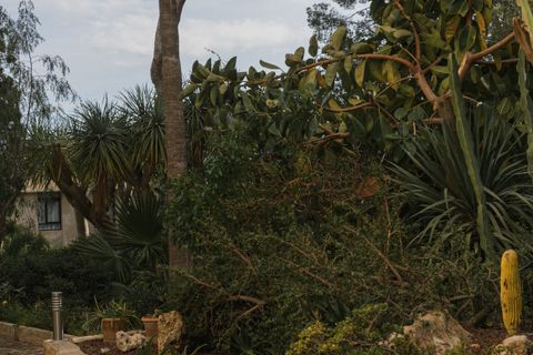 Lejlighed i Calvia, Mallorca, Calvia - € 2.290.000 | Ref: SPCRM2482 - foto 35