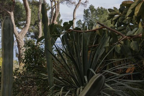 Lejlighed i Calvia, Mallorca, Calvia - € 2.290.000 | Ref: SPCRM2482 - foto 36
