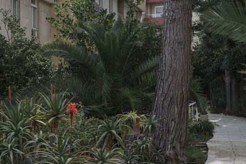 Lejlighed i Calvia, Mallorca, Calvia - € 2.290.000 | Ref: SPCRM2482 - foto 42