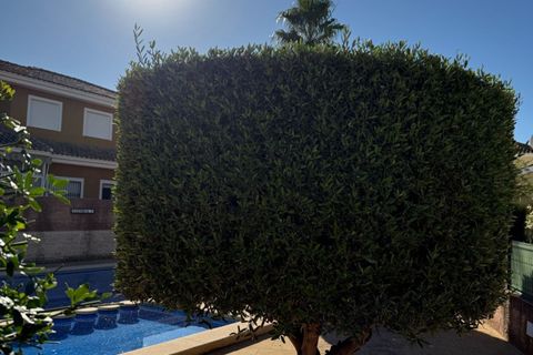 Villa i El Verger, Alicante, El Verger - € 390.000 | Ref: 748929 - foto 3