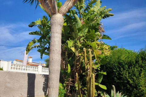 Villa en Calpe, Alicante, Calpe - € 525.000 | Ref: 748926 - photo 38