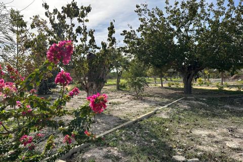 Villa i Dolores, Alicante, Dolores - € 430.000 | Ref: 748905 - foto 44