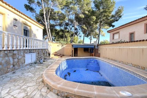 Villa in Pilar de la Horadada, Alicante - photo 3