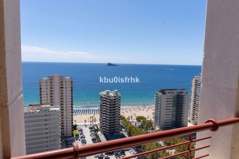 Apartment in Benidorm, Alicante - photo 1