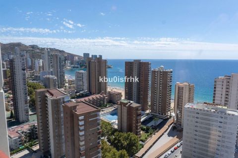 Apartment in Benidorm, Alicante - photo 2