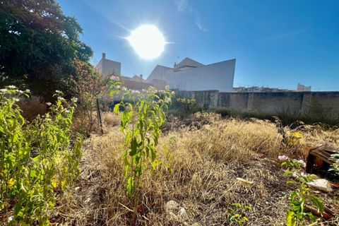 Villa a Pinoso, Alicante, Pinoso - € 346.500 | Ref: 746640 - foto 7