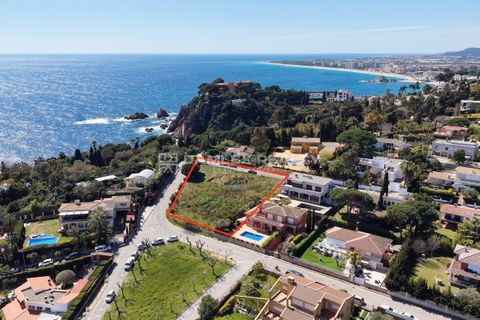 Helårsgrund i Blanes, Gerona, Blanes - € 2.300.000 | Ref: 75160 - foto 15