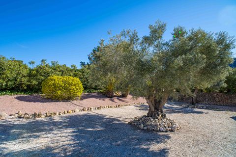Villa a La Zarza, Murcia, La Zarza - € 395.000 | Ref: ANNFOX-R175 - foto 6
