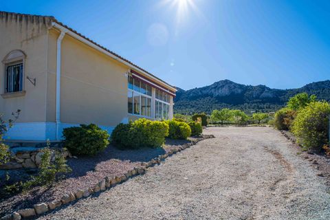 Villa a La Zarza, Murcia, La Zarza - € 395.000 | Ref: ANNFOX-R175 - foto 24