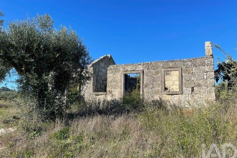 Byhus i Santarem, Santarem, Santarem - € 58.680 | Ref: 887525 - foto 3
