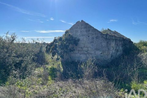 Byhus i Santarem, Santarem, Santarem - € 58.680 | Ref: 887525 - foto 4