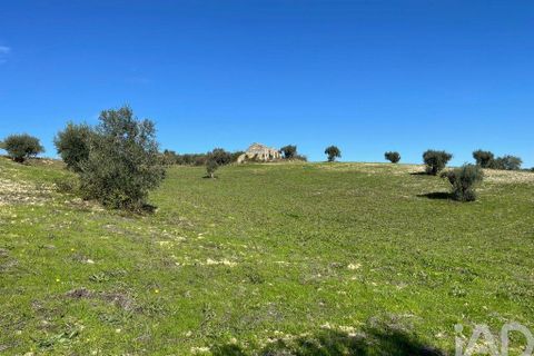 Byhus i Santarem, Santarem, Santarem - € 58.680 | Ref: 887525 - foto 8