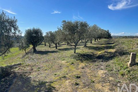 Byhus i Santarem, Santarem, Santarem - € 58.680 | Ref: 887525 - foto 17
