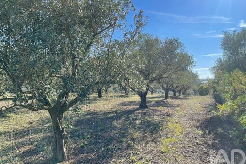 Byhus i Santarem, Santarem, Santarem - € 58.680 | Ref: 887525 - foto 19