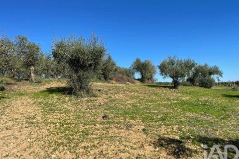 Byhus i Santarem, Santarem, Santarem - € 58.680 | Ref: 887525 - foto 20
