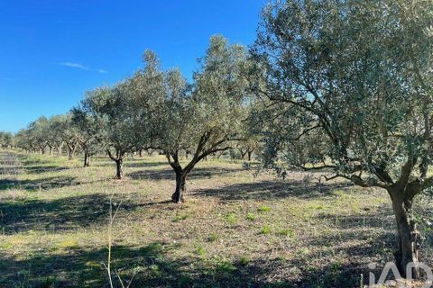 Byhus i Santarem, Santarem, Santarem - € 58.680 | Ref: 887525 - foto 22