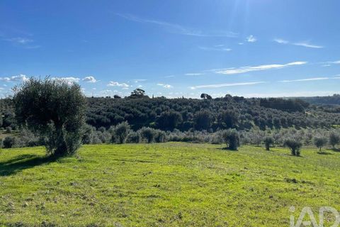 Byhus i Santarem, Santarem, Santarem - € 58.680 | Ref: 887525 - foto 25