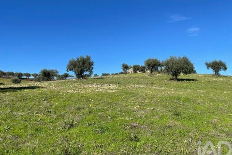 Byhus i Santarem, Santarem, Santarem - € 58.680 | Ref: 887525 - foto 32